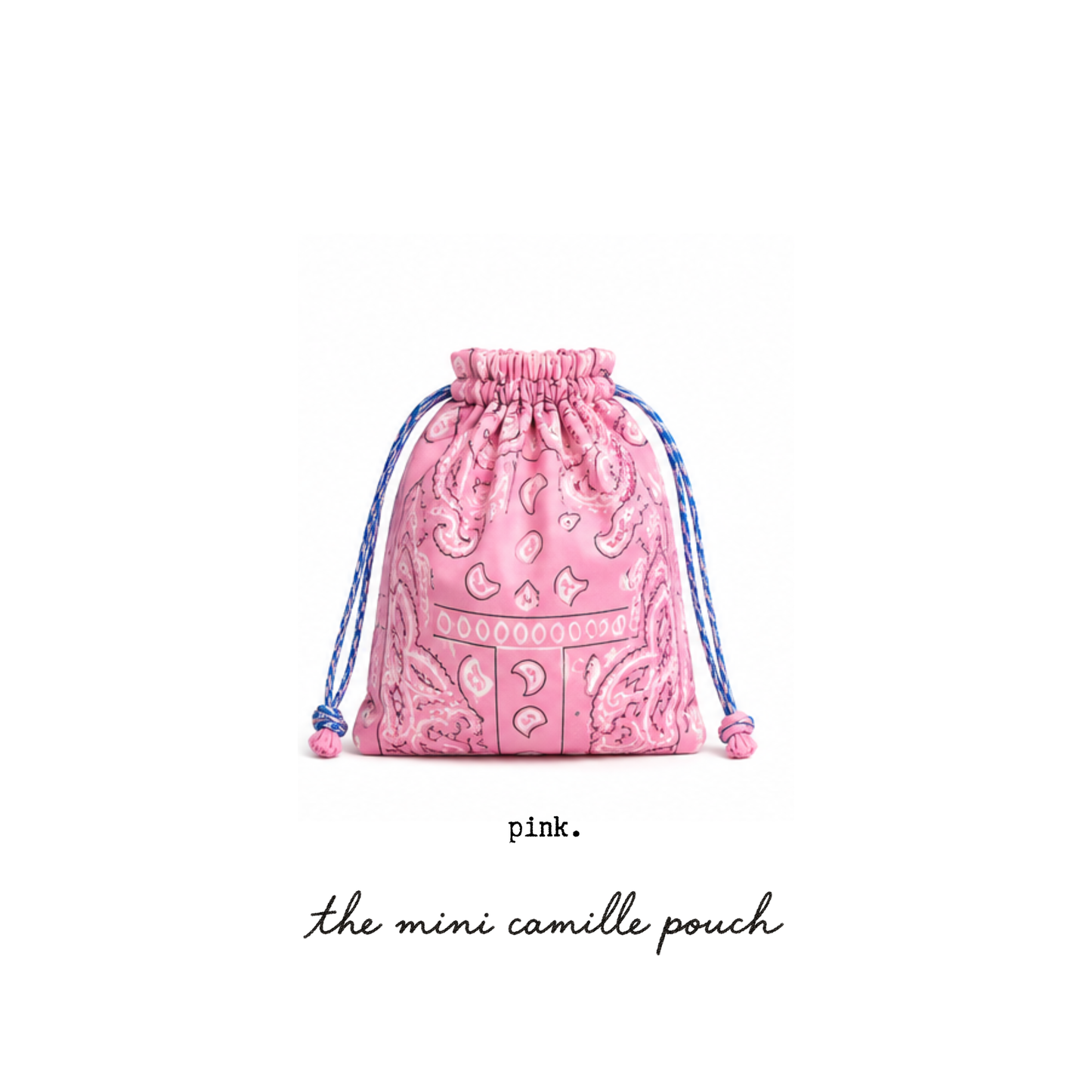 The Mini Camille Pouch