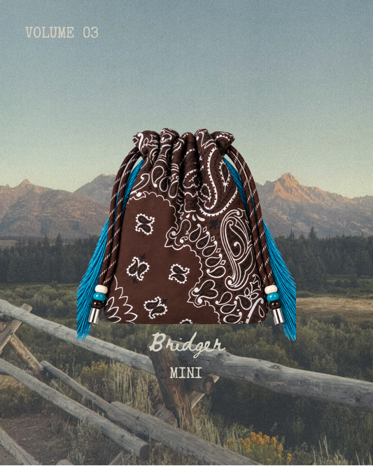 The Camille Pouch-Bridger