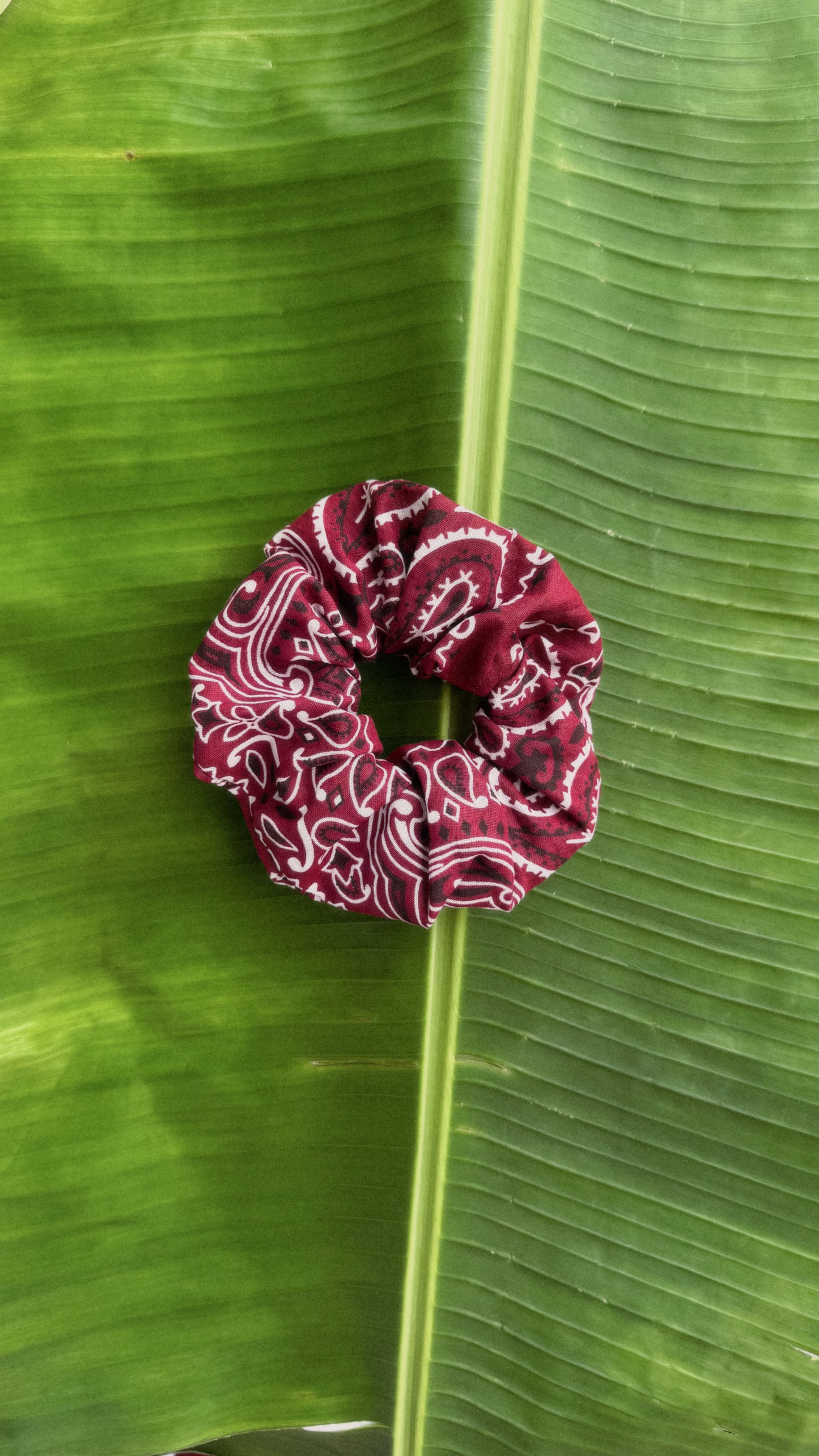 Lola’s Scrunchie